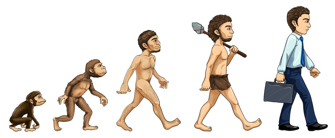 腰痛の原因の2足歩行のイラスト